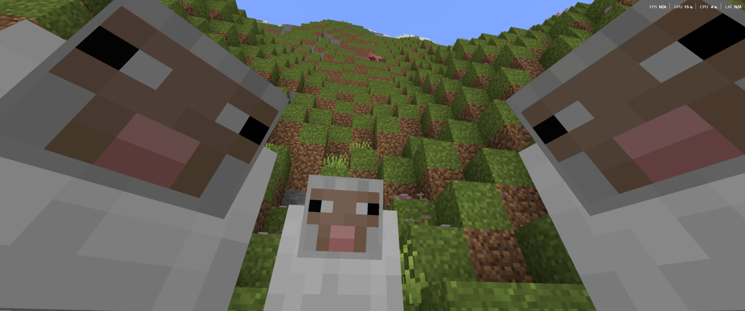 Minecraft Sheeps staring at you